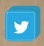 iconotwitter